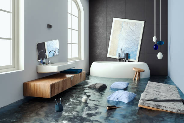 Best Sewage cleanup and water damage restoration  in Lincoln, ID