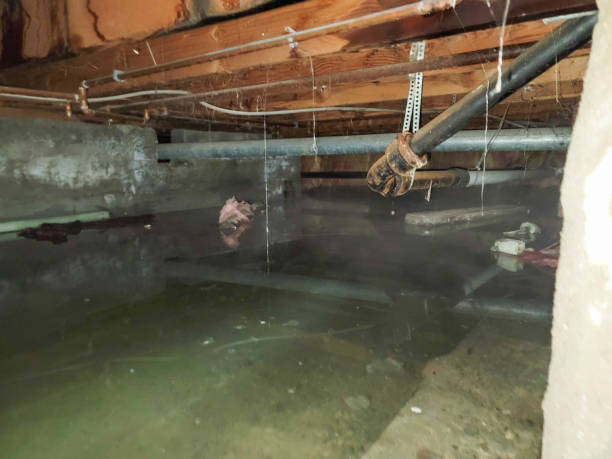 Best Flooded house restoration  in Lincoln, ID