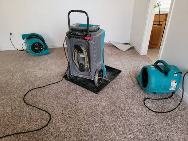 Best Residential water damage restoration  in Lincoln, ID