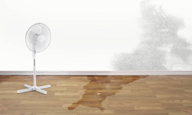 Best Fire Damage Restoration  in Lincoln, ID