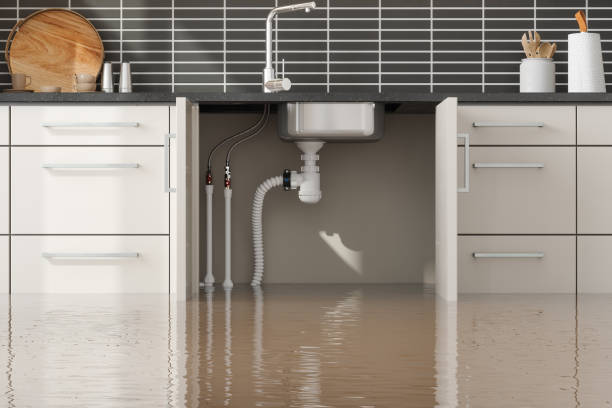 Best Flood restoration services  in Lincoln, ID